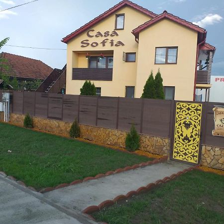 فندق Casa Sofia Târgu Jiu المظهر الخارجي الصورة