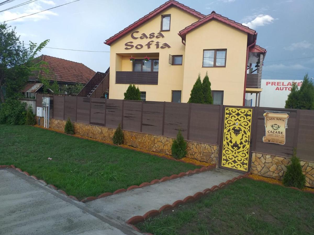 فندق Casa Sofia Târgu Jiu المظهر الخارجي الصورة